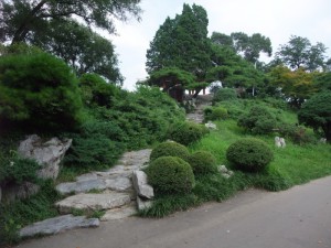 North Korea 1175
